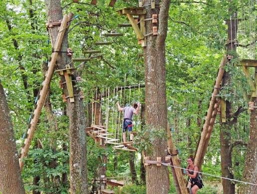 Deux personnes font de l'accrobranche dans les arbres, sur un parcours avec des ponts de corde.